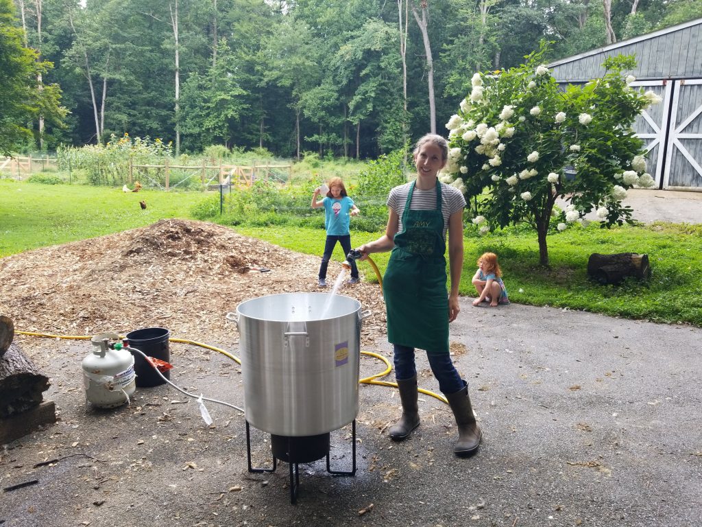 filling the scalder with water in preparation for butchering day